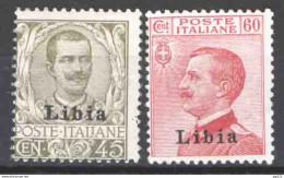 Libia 1917 Sass.18/19 */MLH VF/F - Libia