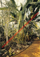 Jardin Botanique National - Nationale Plantentuin - Meise - Meise