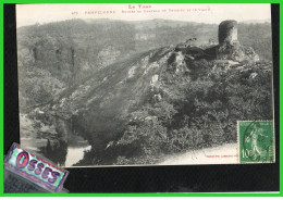 Le Tarn PAMPELONNE Ruines Du Château De Thuriez Et Le Viaur.. - Pampelonne