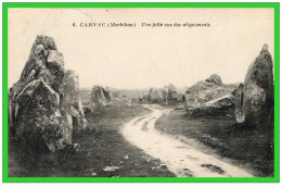 CARNAC- (Morbihan)-une Jolie Vue Des Alignements..(recto Verso) - Dolmen & Menhirs