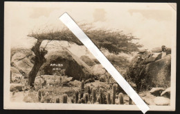 NETHERLANDS ANTILLES - ANTILLE OLANDESI - ARUBA - 1947 - FOTOCARTOLINA - PHOTOCARD - Aruba