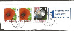 Guernsey 2008-2009 Flowers,   Mi 1253 X2, 1178 Poppy, Sea Champion Cancelled 20.10.2014 On Paper - Covers & Documents