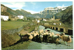 Torla (Huesca) - Pirineo Aragones - Vista General Y Mondarruego Al Fondo - Huesca