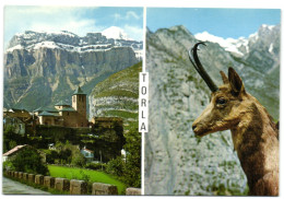 Torla - Iglesia Parroquial - Rebeco - Huesca