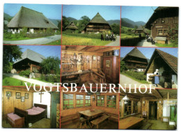 Gutach - Vogtsbauernhof - Gutach (Schwarzwaldbahn)