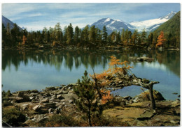 Lago Saoseo Con Vista Piz Palü - Val Di Campo - Poschiavo - Poschiavo