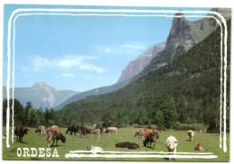 Parque Nacional De Ordesa - Pirineo Aragones - La Tendehera Y Tozal Del Mallo - Huesca