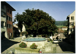 Kaiserstuhl AG - Widderbrunnen - Kaiserstuhl