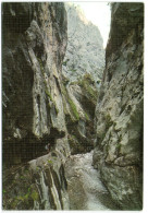 Picos De Europa - Tuneles En La Garganta Del Rio Cares - Asturias (Oviedo)