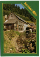 Hexenloch-Mühle - Furtwangen