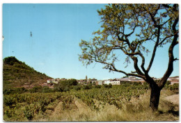 Marsa (Tarragona) - Panoramica Y Peisaje - Tarragona