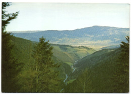 Blick Durch Das Oberrieder Tal Nach Kirchzarten/Stegen - Kirchzarten