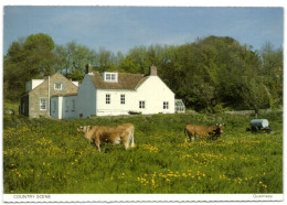 Guernsey - Country Scene - Guernsey