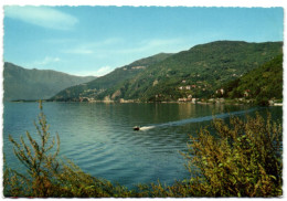 Lago Maggiore - Luino - Panorama - Luino