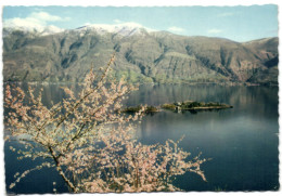 Isole Di Brissago - Parco Botanico DelCt. Ticino - Brissago