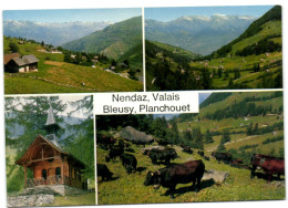 Nendaz - Valais - Bleusy - Plachouet - Nendaz