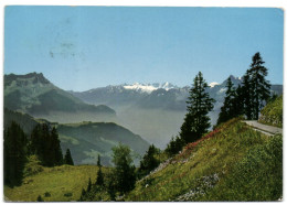 Leysin Les Dents Du Midi - Les Dents De Morcles Et Le Mont Blanc - Morcles