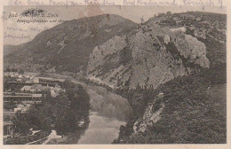 AK Bad Münster Am Stein - Rheingrafenstein Und Gans - 1916 (65715) - Bad Muenster A. Stein - Ebernburg