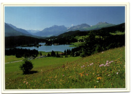 Lenzerheide - Parklandschaft Mit De Oberhalbsteiner Bergen - Lantsch/Lenz