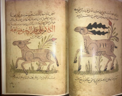 Kitab Manafi Al Hayavan Bakhtishu Usefulness Of Animals ARABIC Havass Facsimile - Livres Anciens