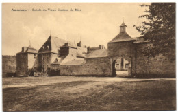 Amonines - Entrée Du Vieux Château De Blier - Erezée