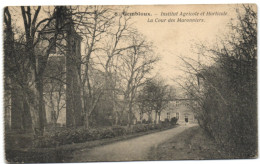 Gembloux - Institut Agricole Et Horticole - Le Cour Des Maronniers - Gembloux