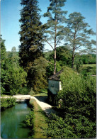 23-10-2023 (5 U 6) France - Parc De L'Abbaye De Labussiere - Arbres