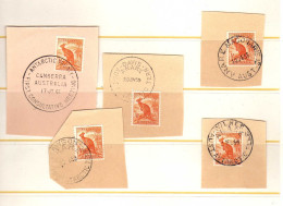 Australie - Territoires Antarctiques - Timbres D'Australie - Obliteres - En Antarctique - - Usados