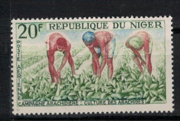 NIGER       N° YVERT  PA 31   NEUF SANS CHARNIERES  (NSCH NIGER ) - Niger (1960-...)