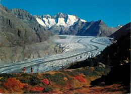 Switzerland Wallis Naturschutzgebiet Aletschwald Am Grossen Aletgletscher - Wald