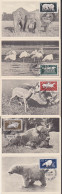 MC DDR 551/56 Maximumkarten Berlin Tierpark, Nashorn, Eisbär, Pelikan, Elefant, Wiesent, SoSt. Berlin 14.12.56 - Cartes-Maximum (CM)