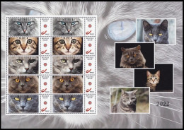 DUOSTAMP** / MYSTAMP** - Chat / Kat / Katze / Cat - Chats Domestiques