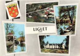FRANCE - Liglet - Vienne - Multivue - Colorisé - Carte Postale Ancienne - Autres & Non Classés