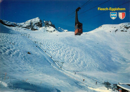 Switzerland Fiesch-Eggishorn Winter Scenery Cableway Cabin - Horn