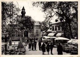 PHOTOGRAPHIE - En Promenade Au Gay Village Mosan - Carte Postale Ancienne - Fotografia