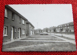 HORNU - Cité Bas-Courtils - Avenue Lemal - Cliché   Original Destiné à L'édition De La Carte Postale - Boussu