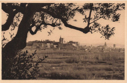 FRANCE - Avignon -  La Ville Vue à Travers Les Oliviers - Carte Postale Ancienne - Avignon