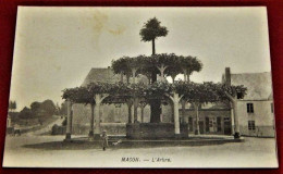 MACON  -  L' Arbre  Du XVème Siècle - Momignies