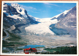 ATHABASCA GLACIER GRAND FORMAT - Autres & Non Classés