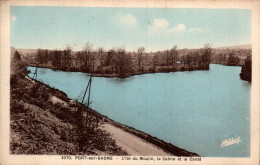 N°114687 -cpa Port Sur Saône- L'île Du Moulin- - Port-sur-Saône