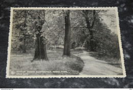 A5695    SCHILDE, MAISON SACERDOTALE, REGINA PACIS, SOUS BOIS - Schilde