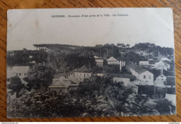 Guyane - Cayenne - Panorama D'une Partie De La Ville - Les Palmistes - Cayenne