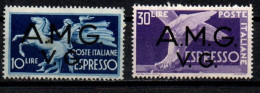 1946 - Italia - Venezia Giulia AMG-VG E 1/2 Espressi     ------- - Neufs