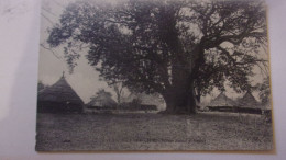 A.O.F. Guinee Française - Bassaris VILLAGE - Französisch-Guinea