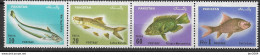 1973 Pakistan Mi. 351-4**MNH   Fische - Pakistan