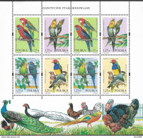 2004 Polen Mi. 4117-20**MNH   Exotische Vögel. - Ungebraucht