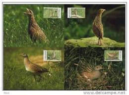 Moldova Moldavia 2001 WWF W.W.F. Set X4 Corncrake Bird Birds Fauna Maximum Cards MC - Cartes-maximum