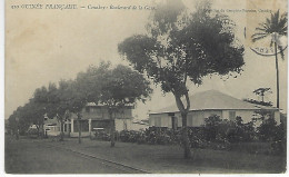 GUINEE FRANCAISE  -   CONAKRY Boulevard De La Gare  ( Afrique Occidentale Francaise ) - Guinée Française