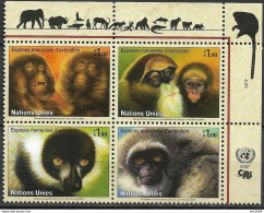 2007  UNO Genf Mi. 561-4**MNH  Gefährdete Arten : Primaten. - Neufs