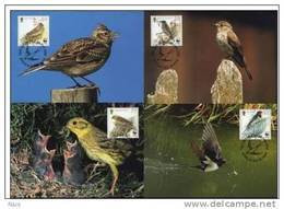 Isle Of Man 2000 WWF W.W.F. Set X4 Maximum Cards Swallow Yellowhammer Skylark Spotted Flycatcher Birds Bird Fauna - Cartes-maximum